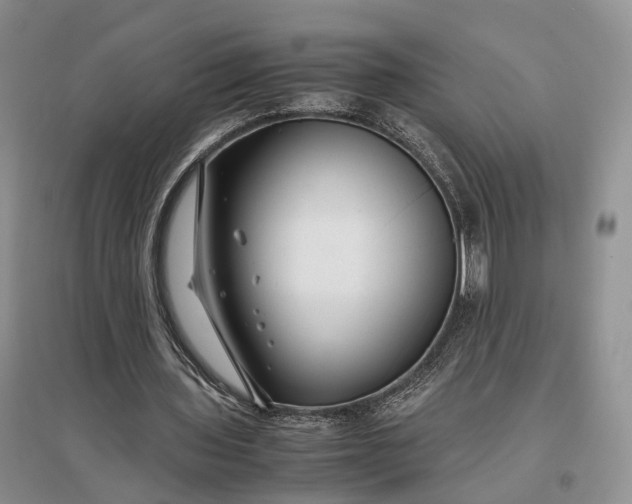 X0000097300435200802291817