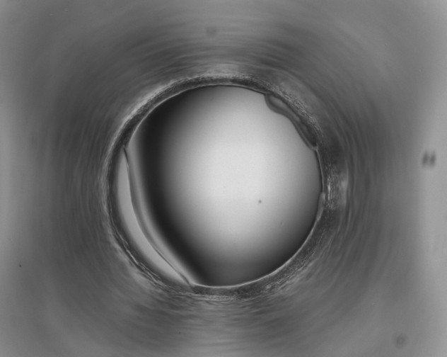 X0000097300436200802291817