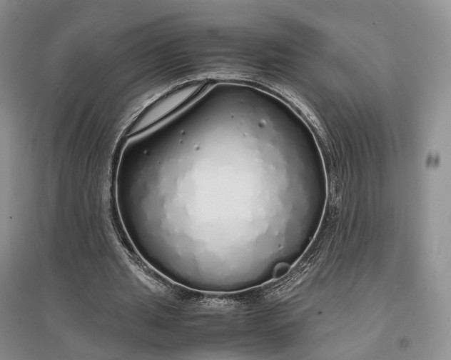 X0000097300437200802291817