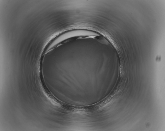 X0000097300438200802291817