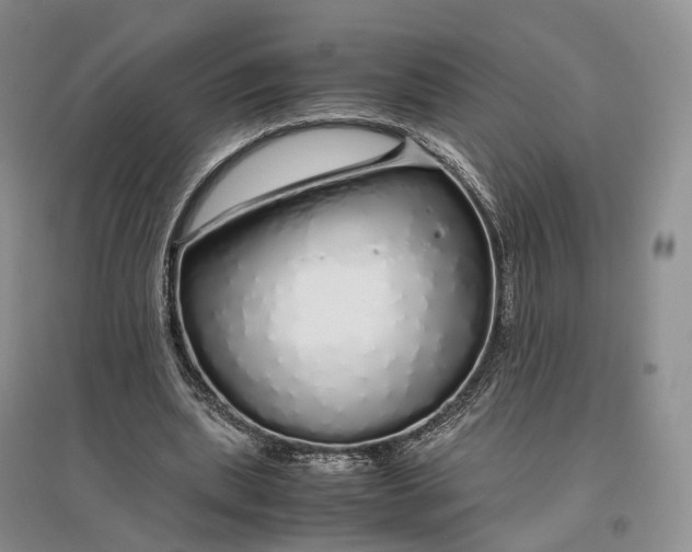 X0000097300439200802291817