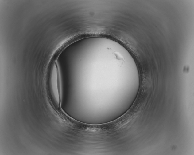 X0000097300440200802291817