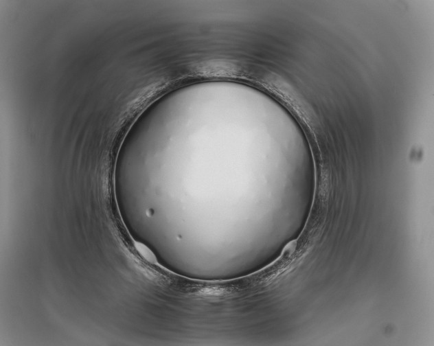 X0000097300441200802291817