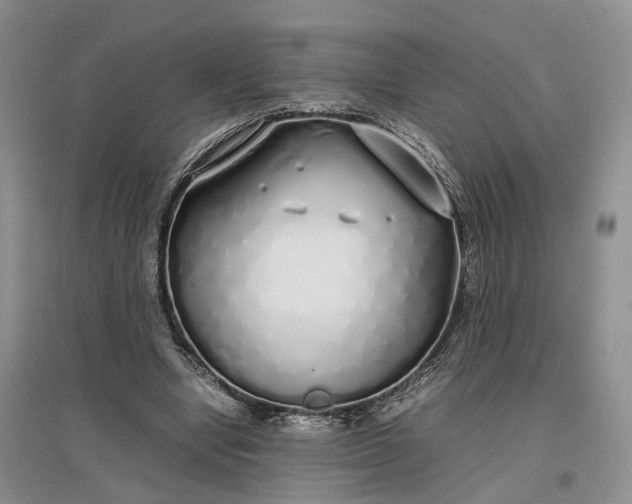 X0000097300442200802291817