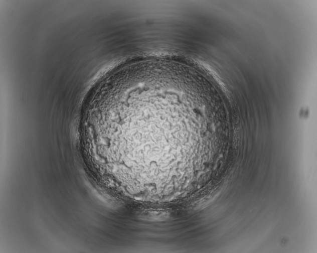 X0000097300443200802291817