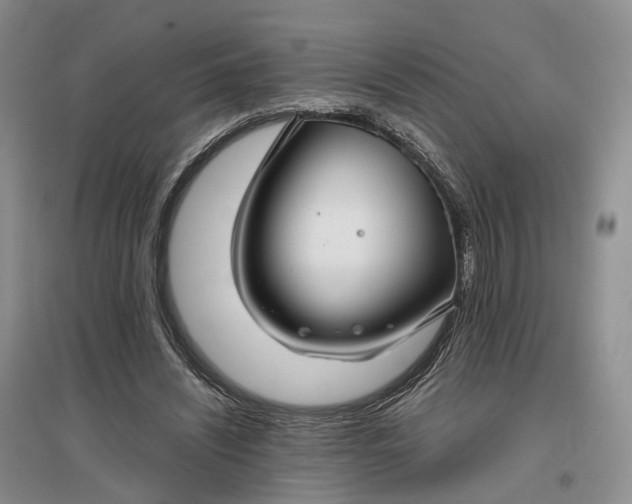 X0000097300444200802291817