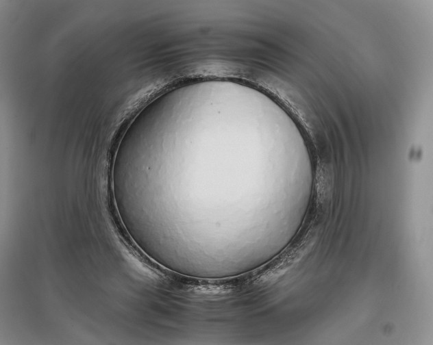 X0000097300445200802291817