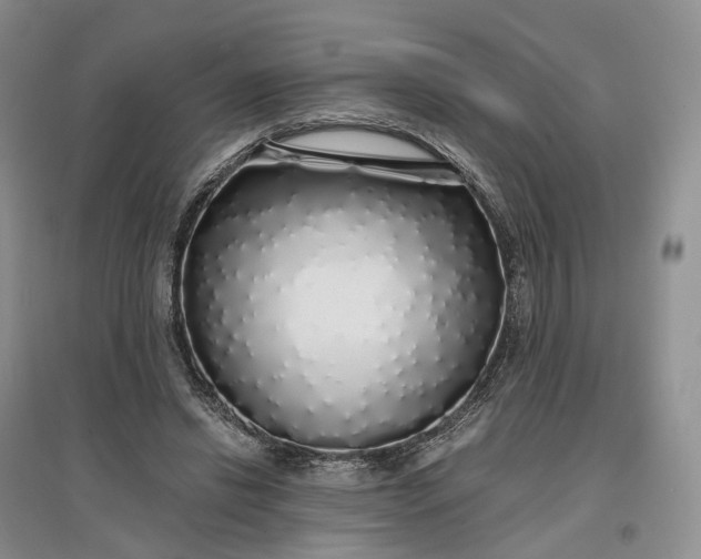 X0000097300446200802291817