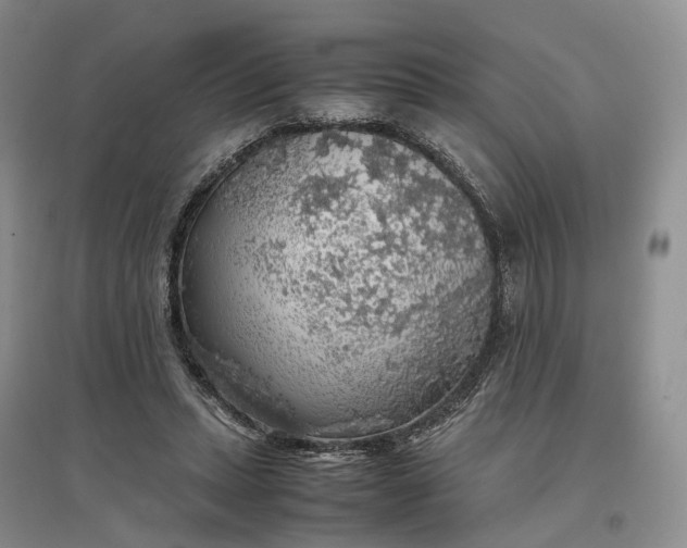 X0000097300447200802291817