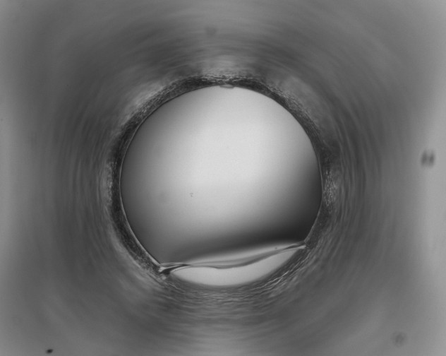 X0000097300448200802291817