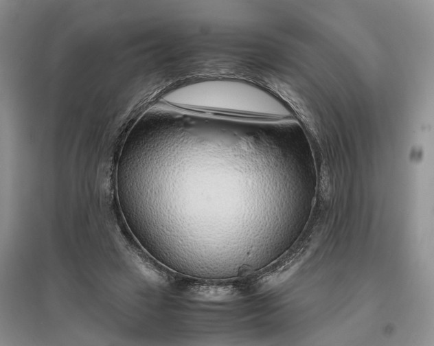 X0000097300449200802291817