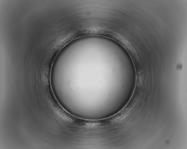 X0000097300450200802291817