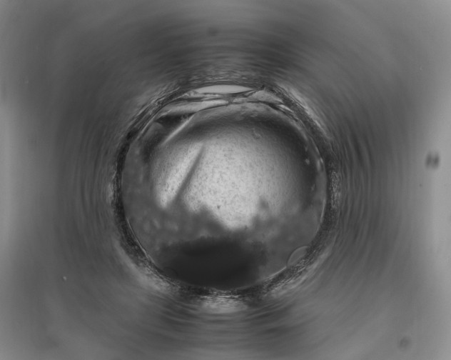 X0000097300451200802291817