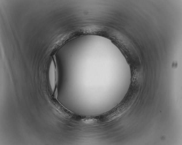 X0000097300452200802291817