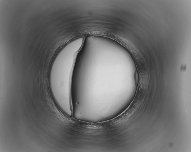 X0000097300453200802291817