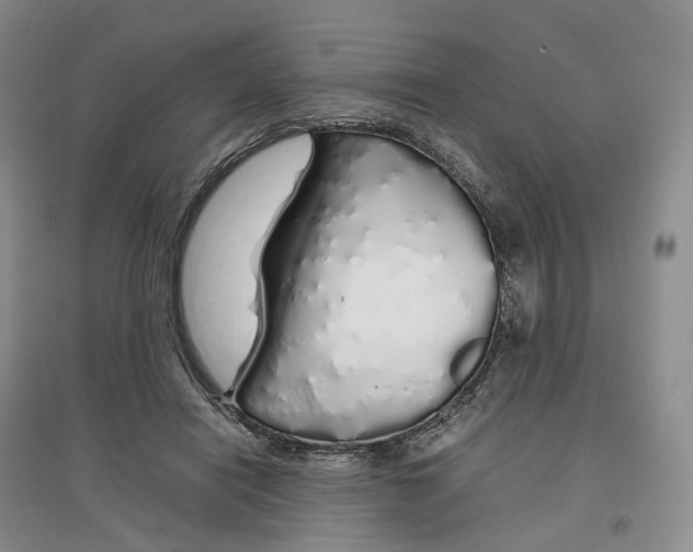 X0000097300454200802291817