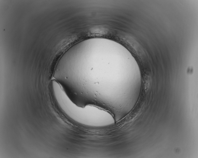 X0000097300455200802291817