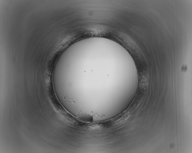 X0000097300456200802291817