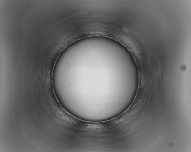 X0000097300457200802291817