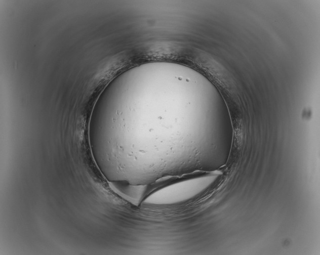 X0000097300458200802291817