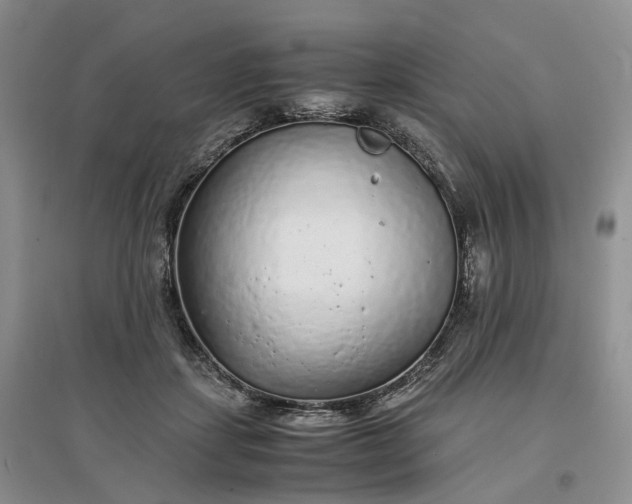 X0000097300459200802291817