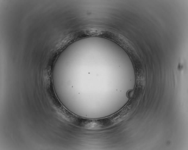 X0000097300460200802291817