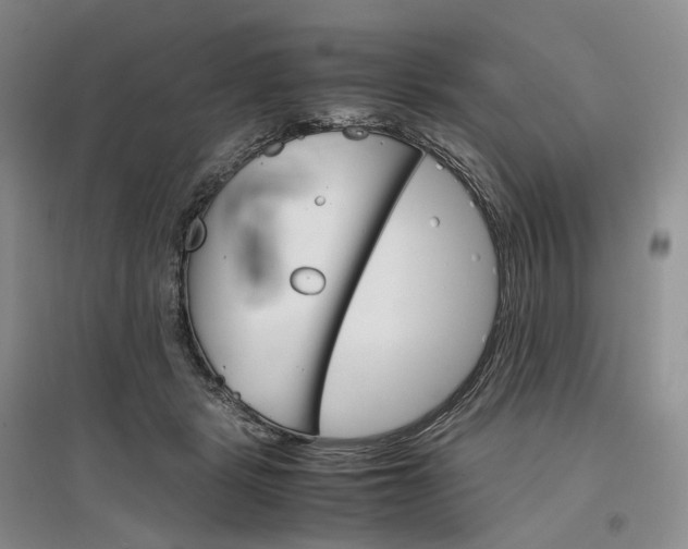 X0000097300461200802291817