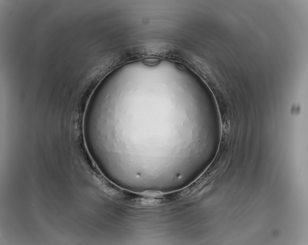 X0000097300462200802291817