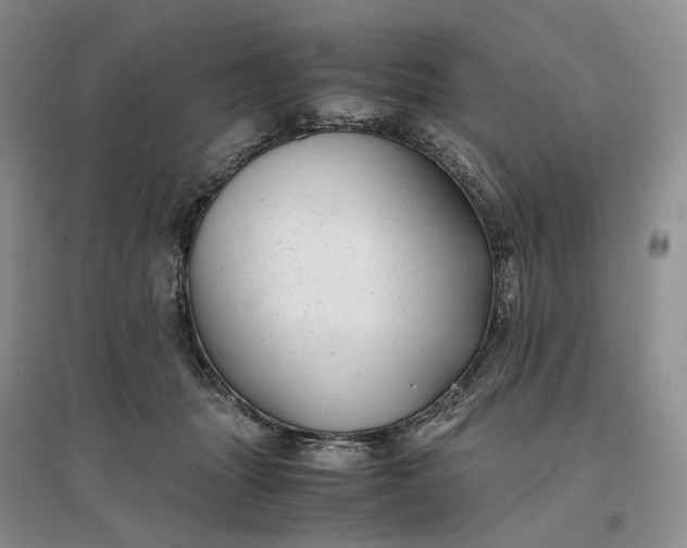 X0000097300463200802291817