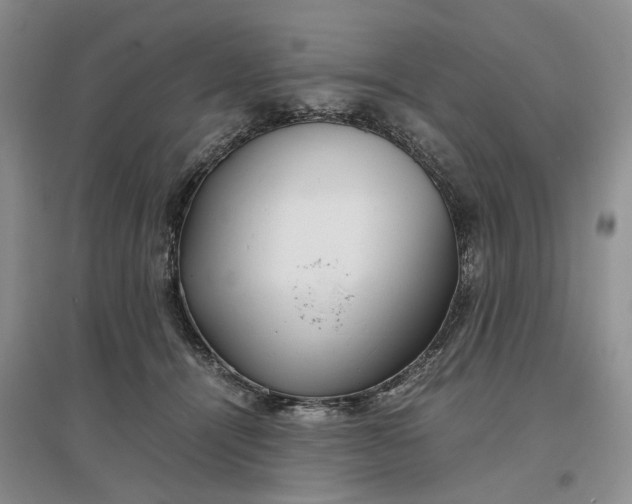 X0000097300464200802291817