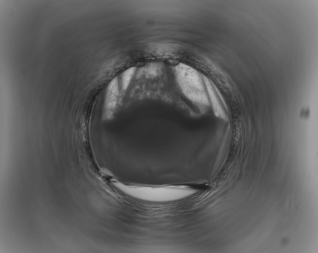 X0000097300465200802291817