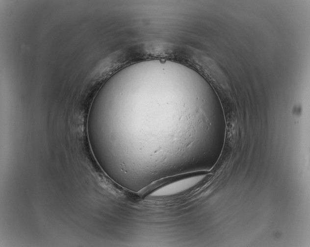 X0000097300466200802291817