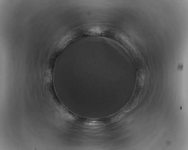 X0000097300467200802291817