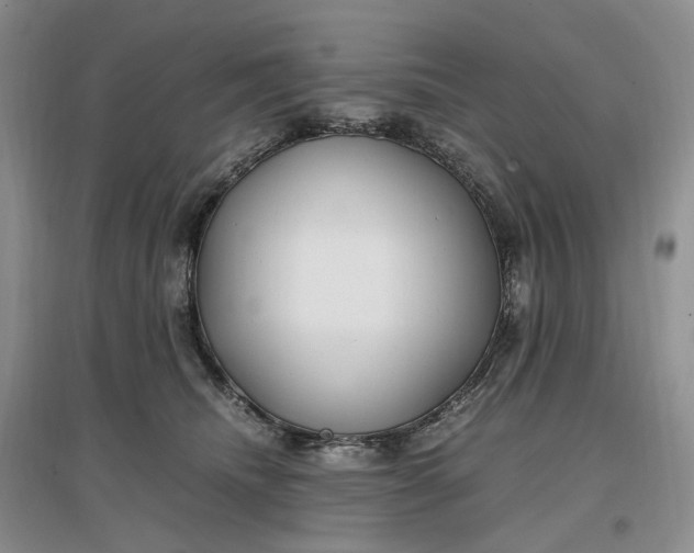 X0000097300468200802291817