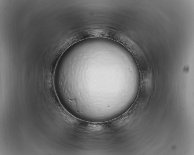 X0000097300469200802291817