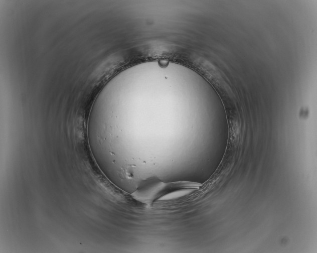 X0000097300470200802291817