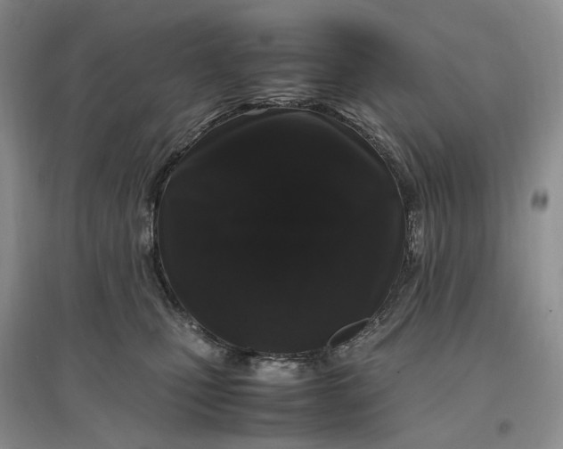 X0000097300471200802291817