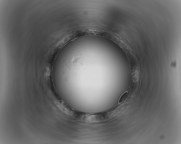 X0000097300472200802291817