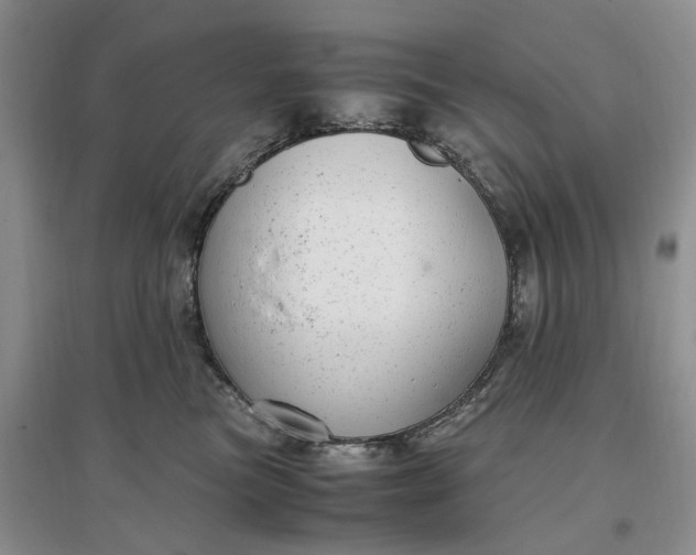 X0000097300473200802291817