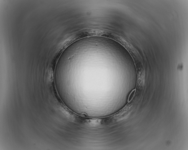 X0000097300474200802291817