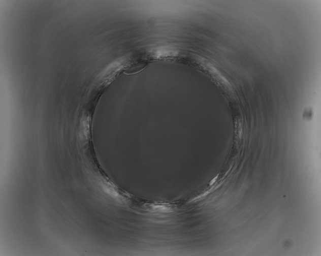 X0000097300475200802291817