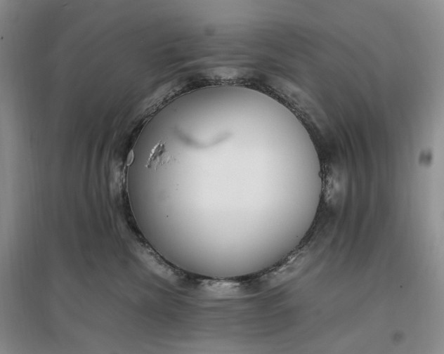 X0000097300476200802291817