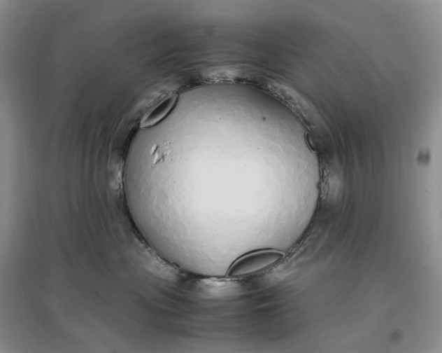 X0000097300477200802291817