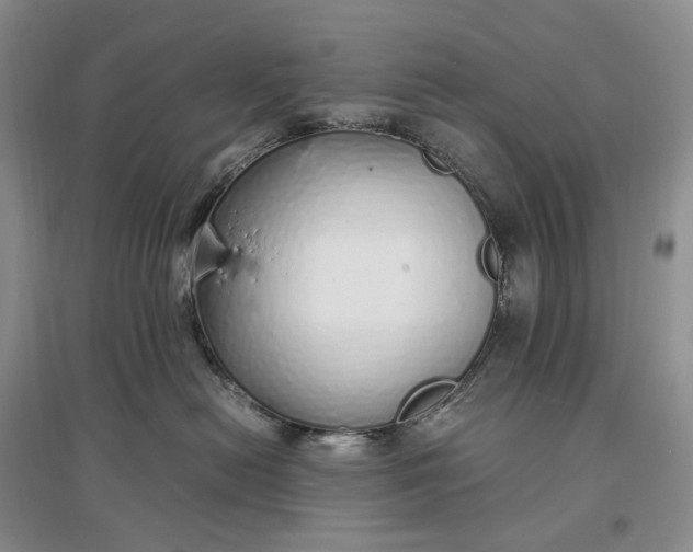 X0000097300478200802291817