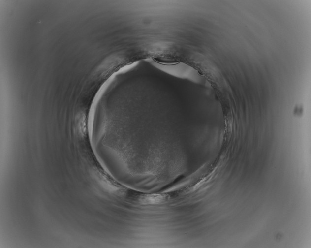 X0000097300479200802291817