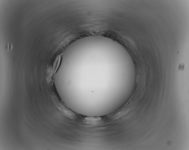 X0000097300480200802291817