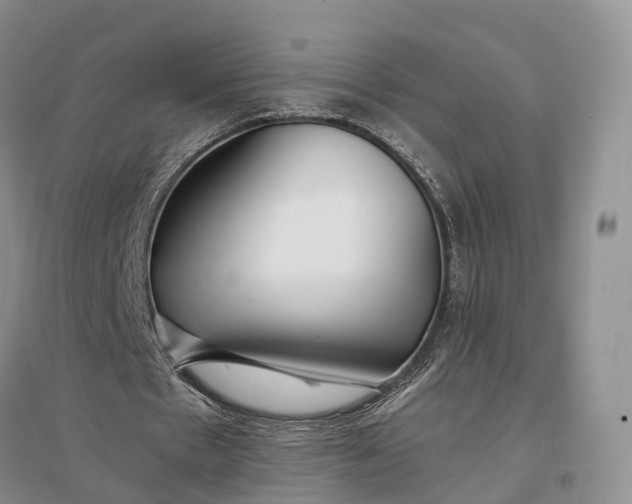 X0000097300481200802291817