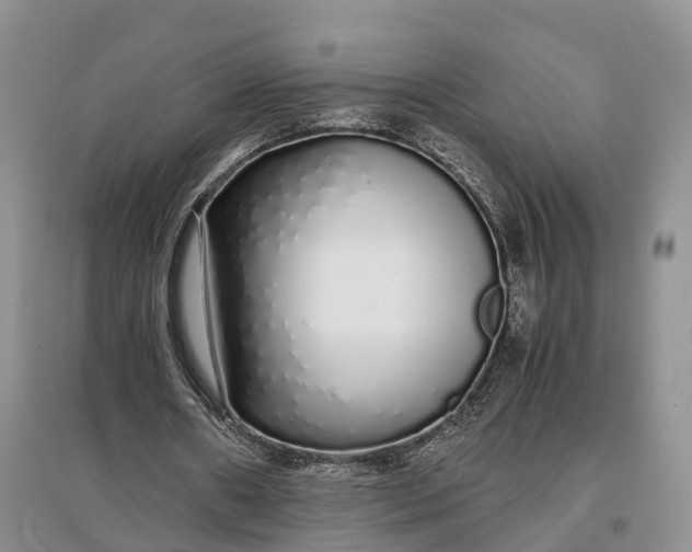 X0000097300482200802291817