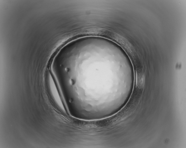 X0000097300483200802291817