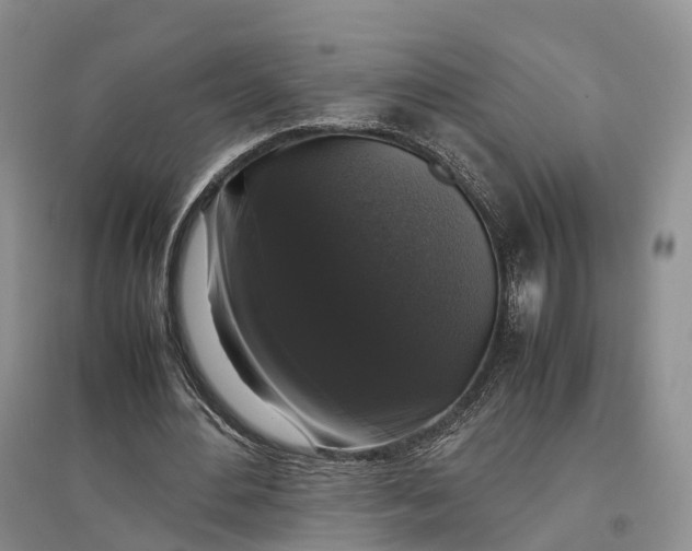 X0000097300484200802291817